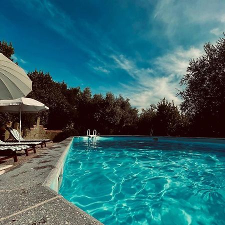 Casa Verde Country House Montescudaio Dış mekan fotoğraf