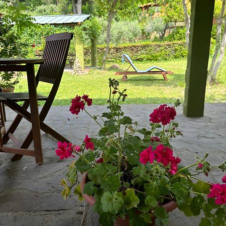 Casa Verde Country House Montescudaio Dış mekan fotoğraf