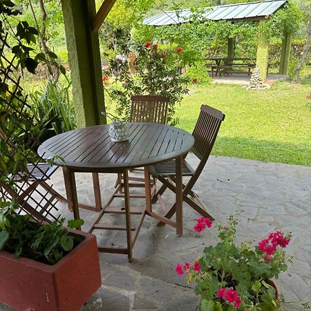 Casa Verde Country House Montescudaio Dış mekan fotoğraf