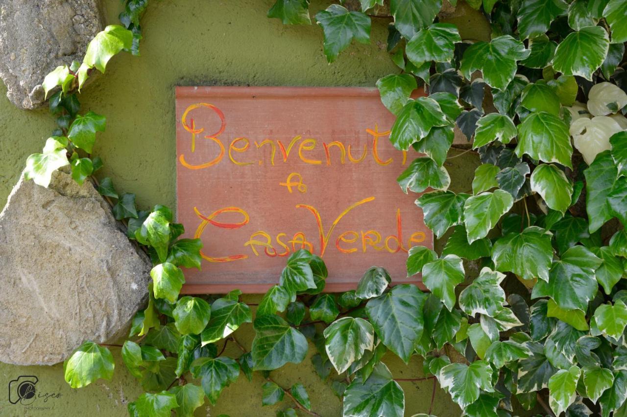 Casa Verde Country House Montescudaio Dış mekan fotoğraf