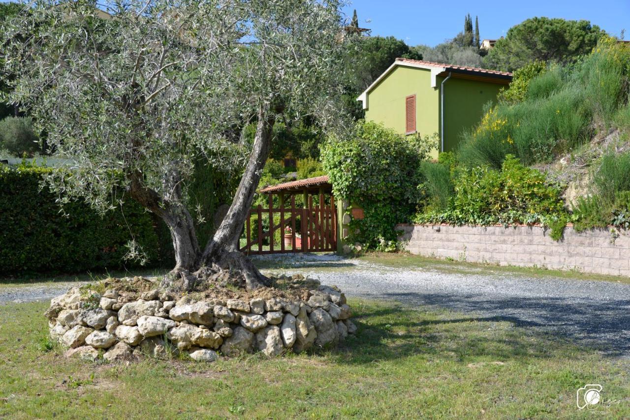Casa Verde Country House Montescudaio Dış mekan fotoğraf