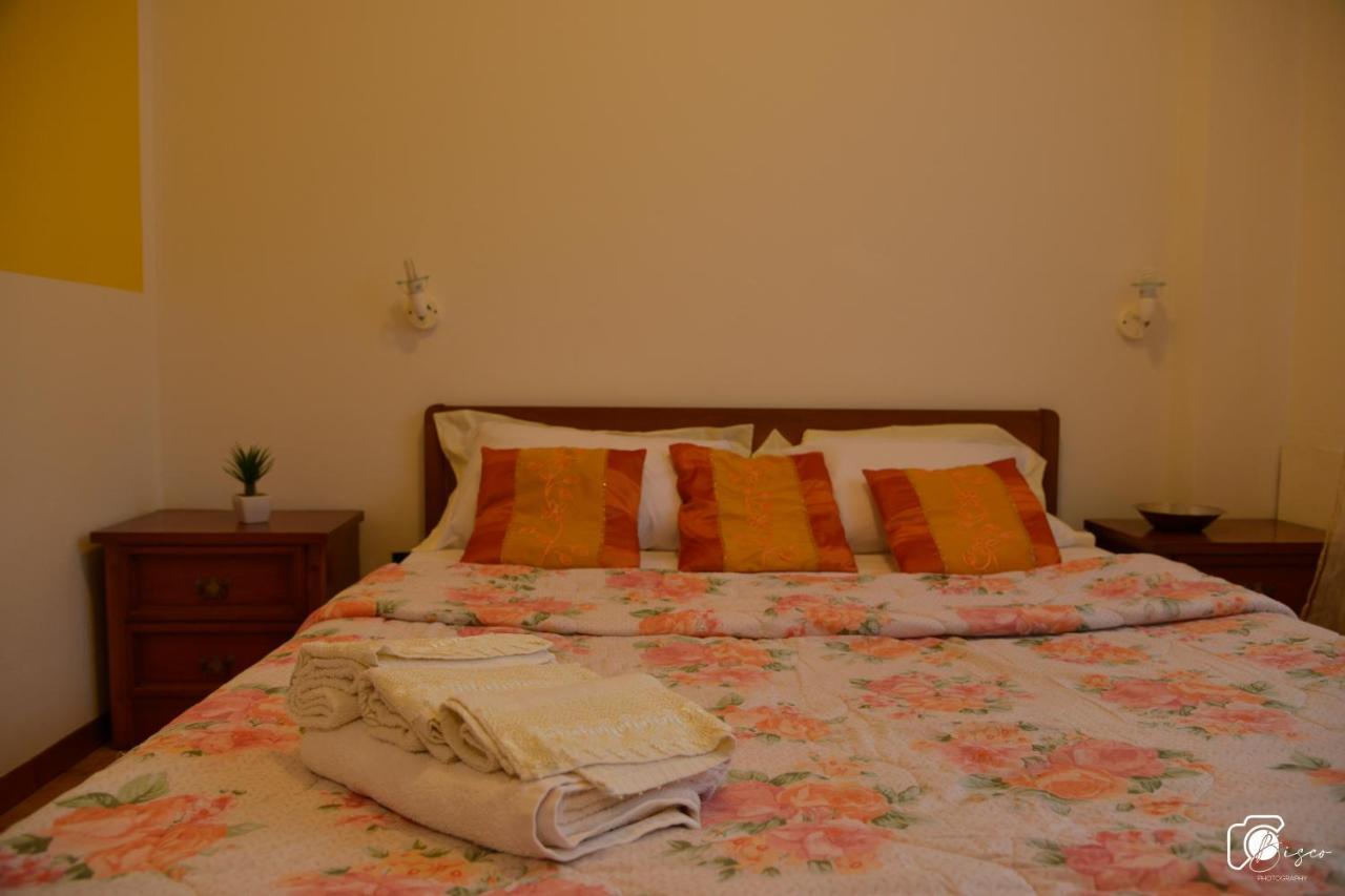 Casa Verde Country House Montescudaio Dış mekan fotoğraf