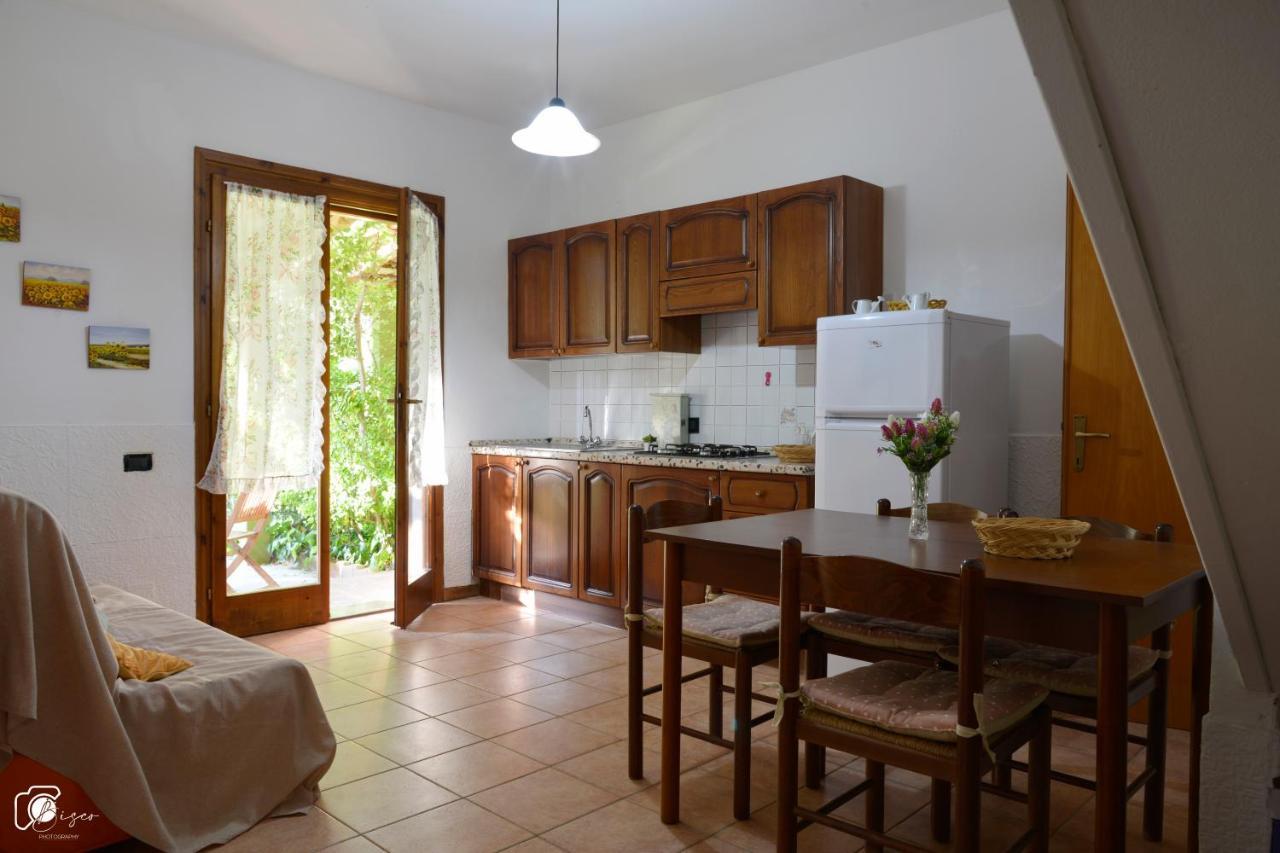 Casa Verde Country House Montescudaio Dış mekan fotoğraf