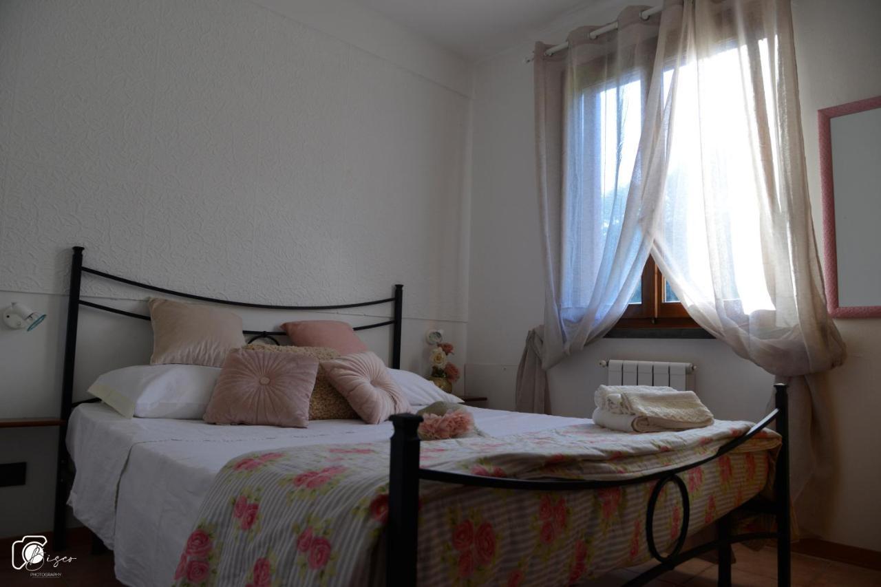 Casa Verde Country House Montescudaio Dış mekan fotoğraf