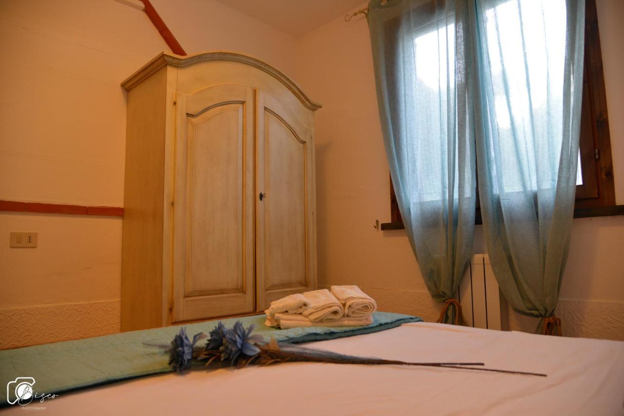 Casa Verde Country House Montescudaio Dış mekan fotoğraf