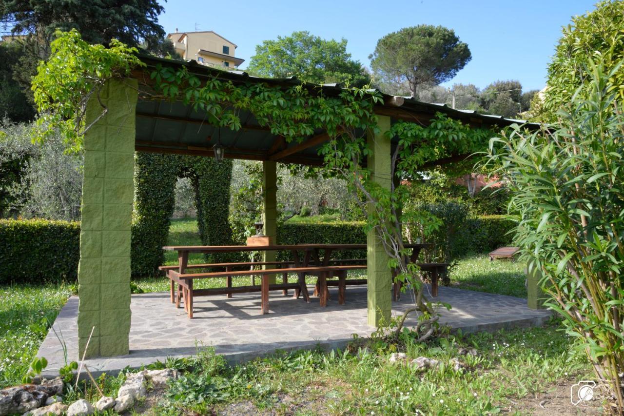 Casa Verde Country House Montescudaio Dış mekan fotoğraf