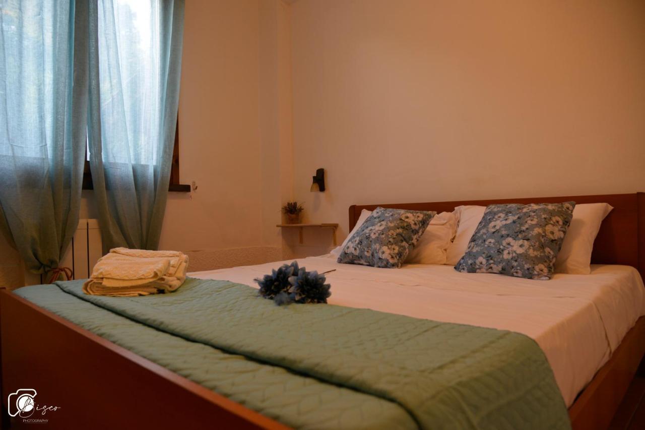 Casa Verde Country House Montescudaio Dış mekan fotoğraf