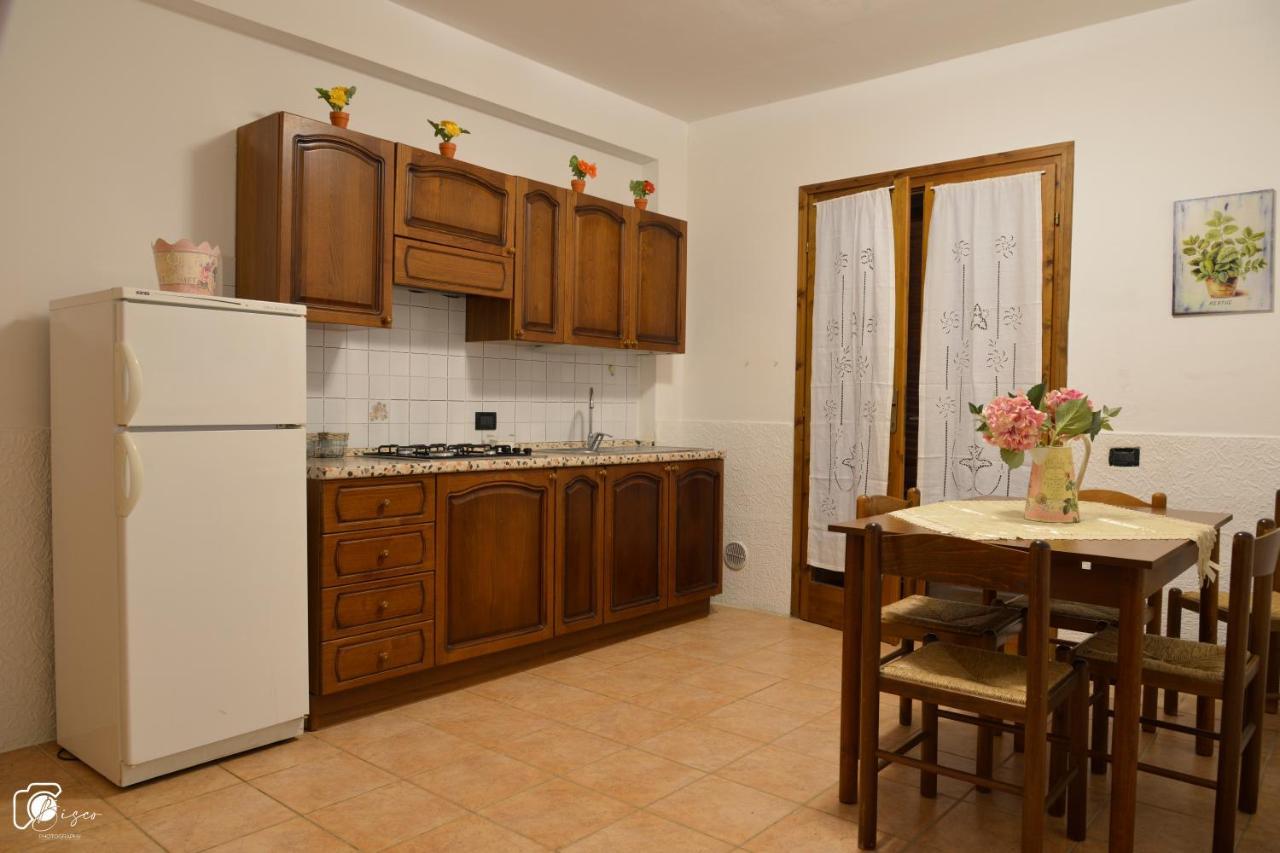 Casa Verde Country House Montescudaio Dış mekan fotoğraf