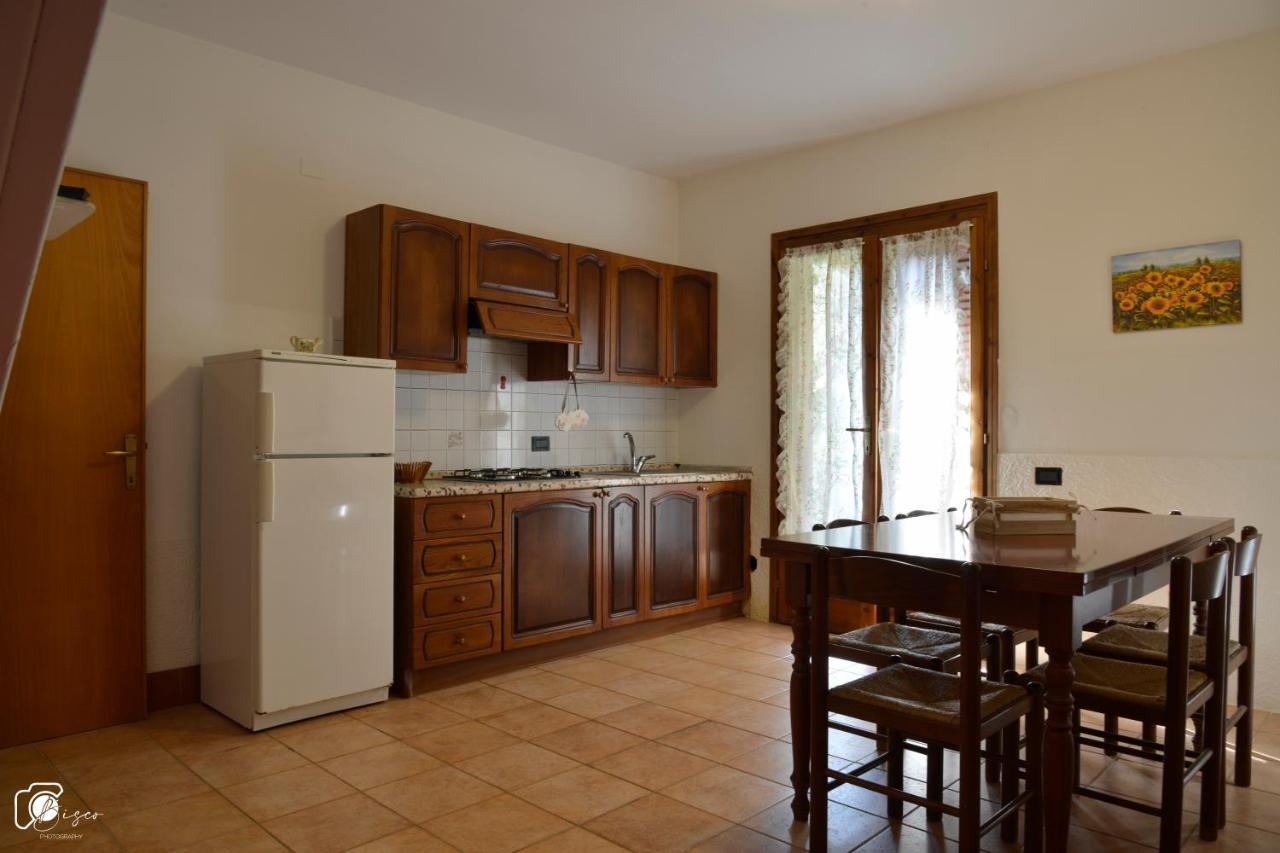 Casa Verde Country House Montescudaio Dış mekan fotoğraf