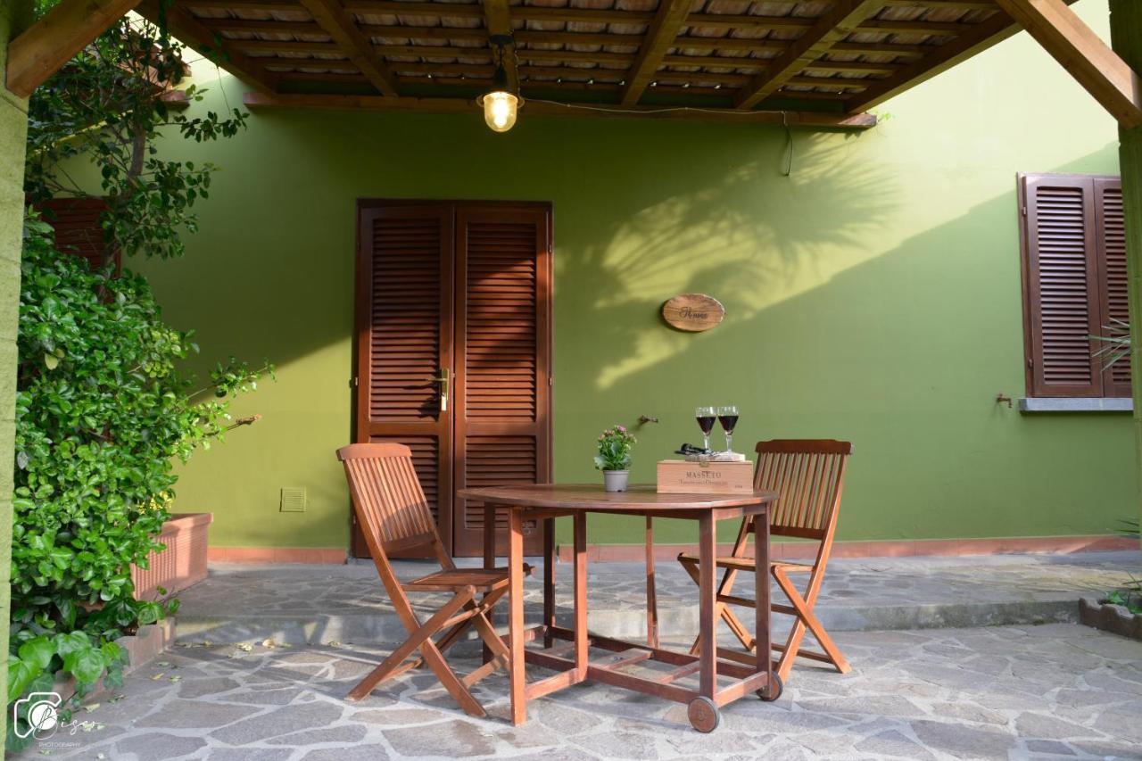 Casa Verde Country House Montescudaio Dış mekan fotoğraf