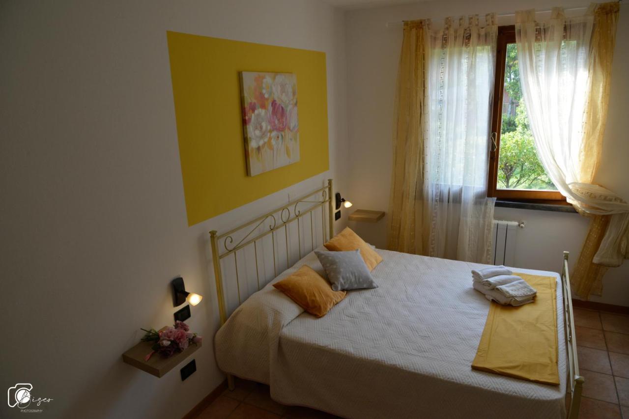 Casa Verde Country House Montescudaio Dış mekan fotoğraf
