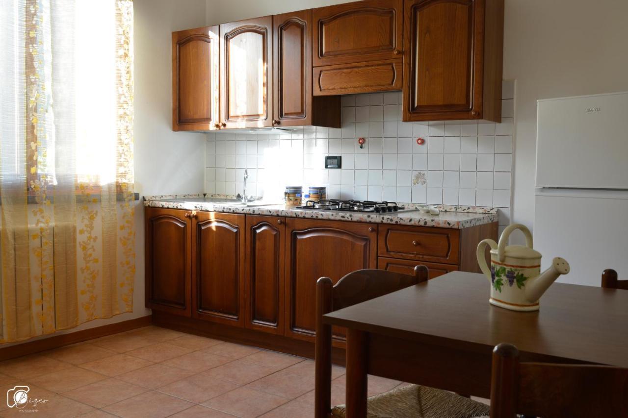 Casa Verde Country House Montescudaio Dış mekan fotoğraf