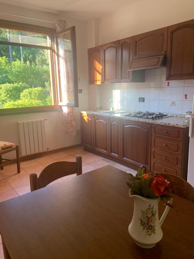 Casa Verde Country House Montescudaio Dış mekan fotoğraf