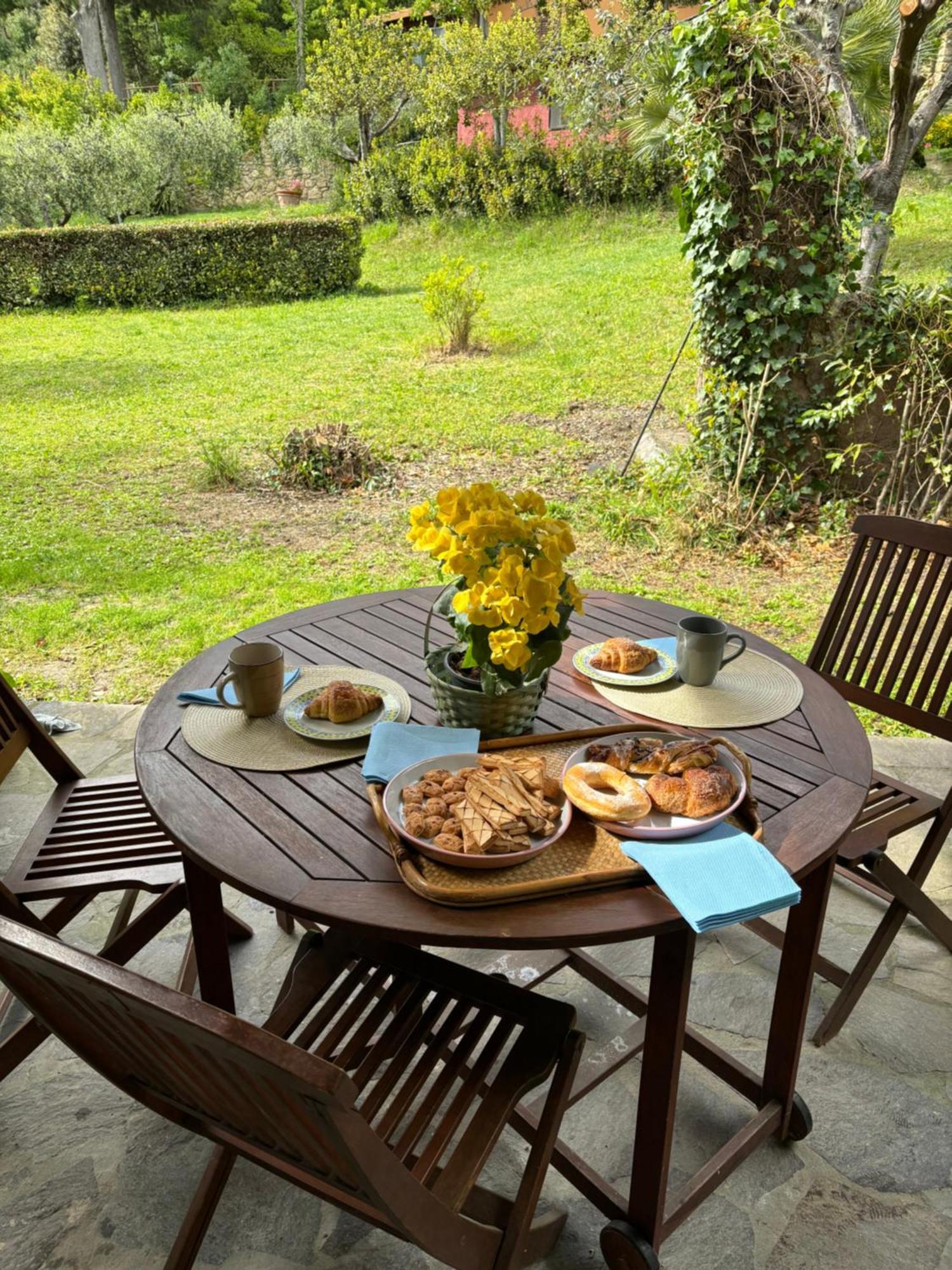 Casa Verde Country House Montescudaio Dış mekan fotoğraf