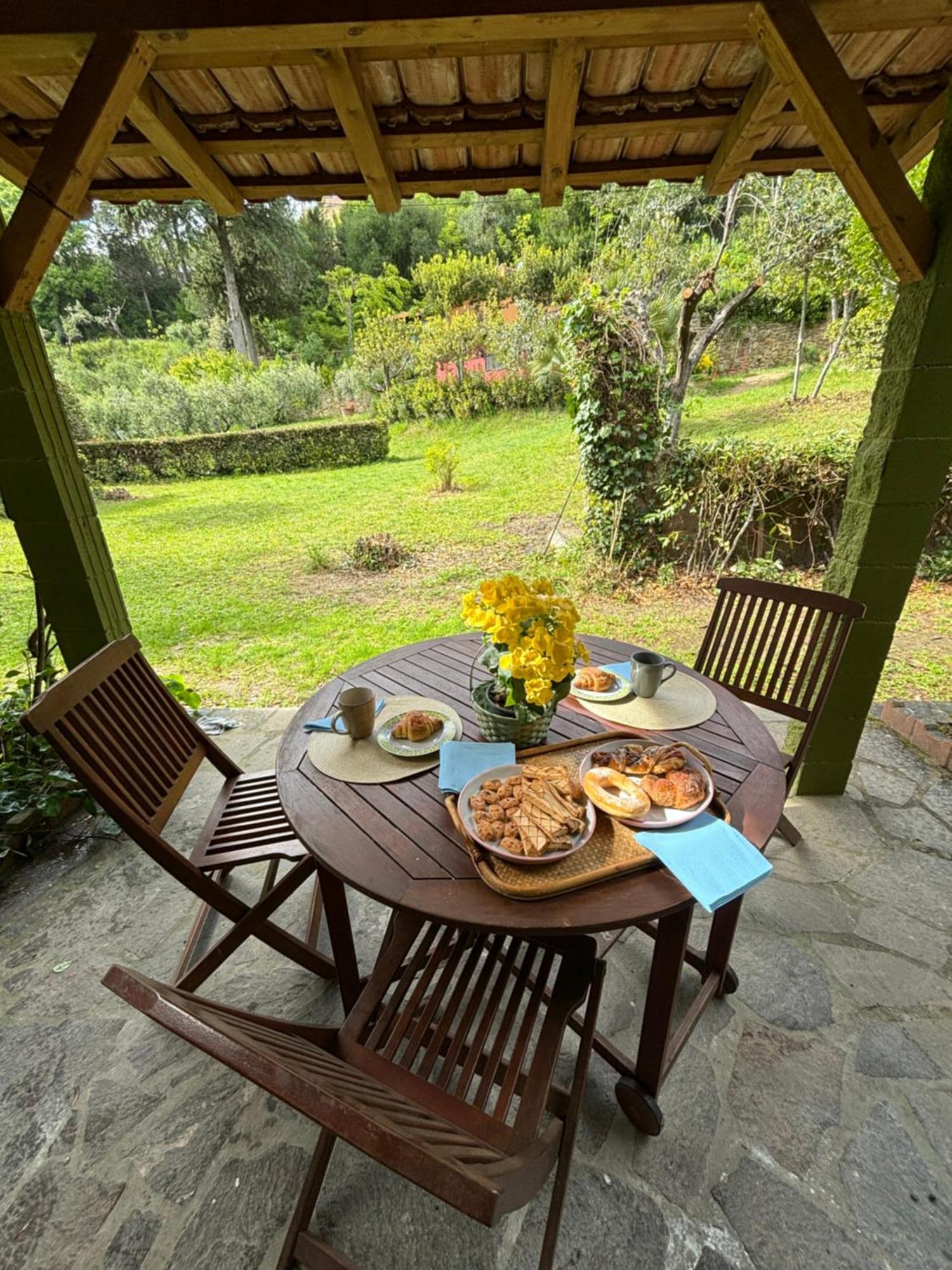Casa Verde Country House Montescudaio Dış mekan fotoğraf