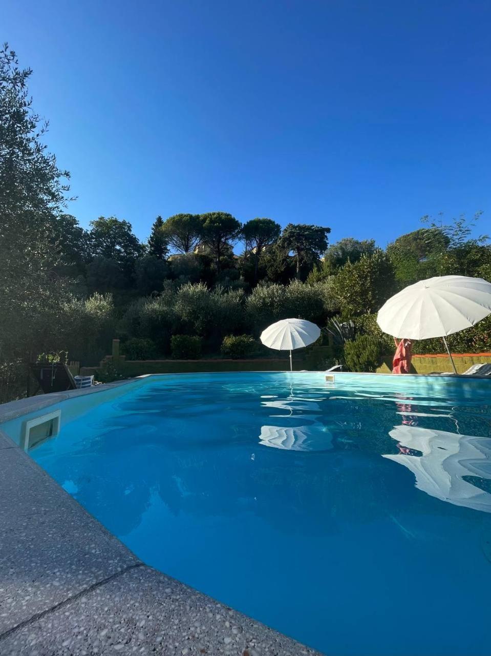 Casa Verde Country House Montescudaio Dış mekan fotoğraf