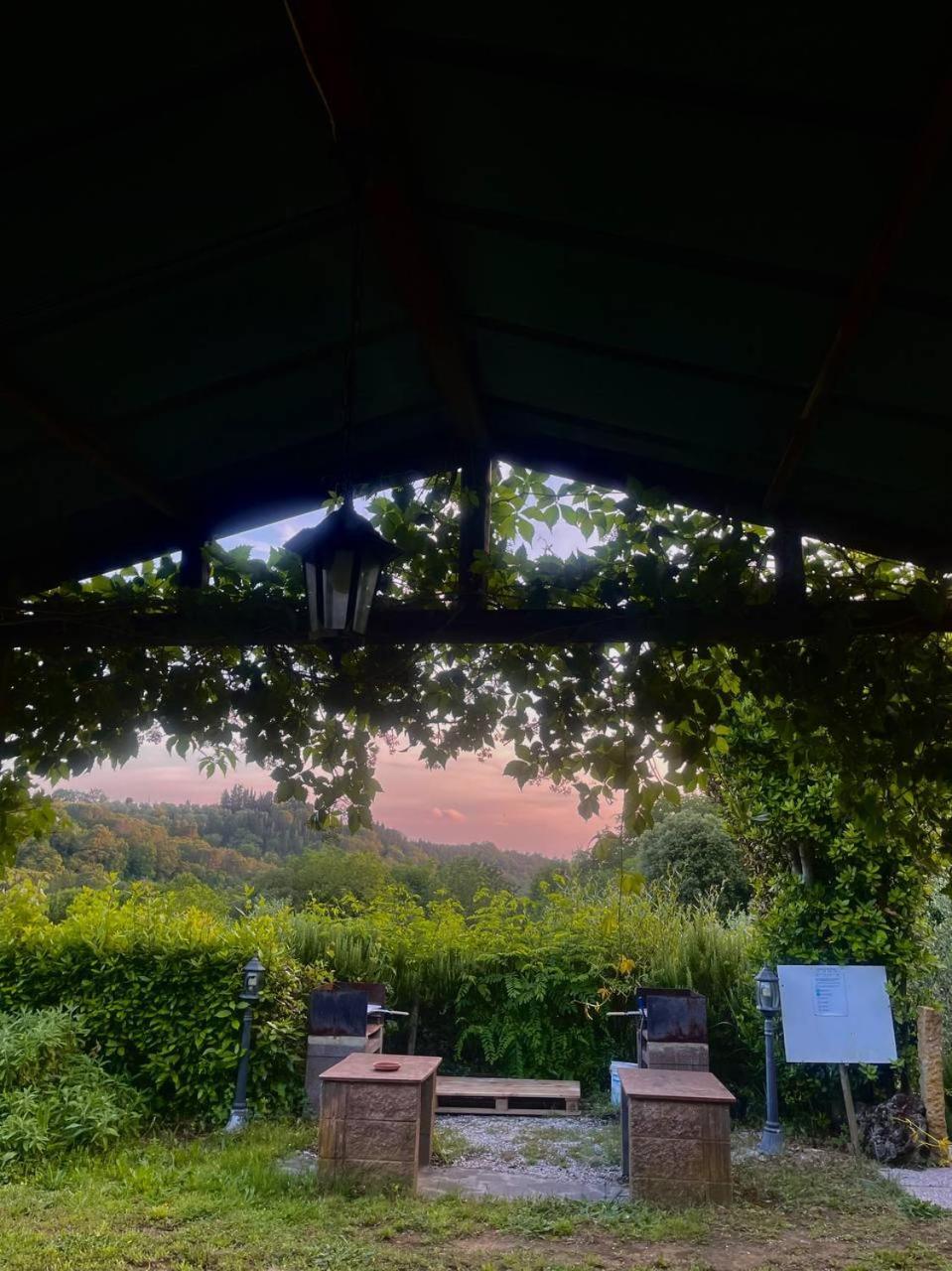 Casa Verde Country House Montescudaio Dış mekan fotoğraf