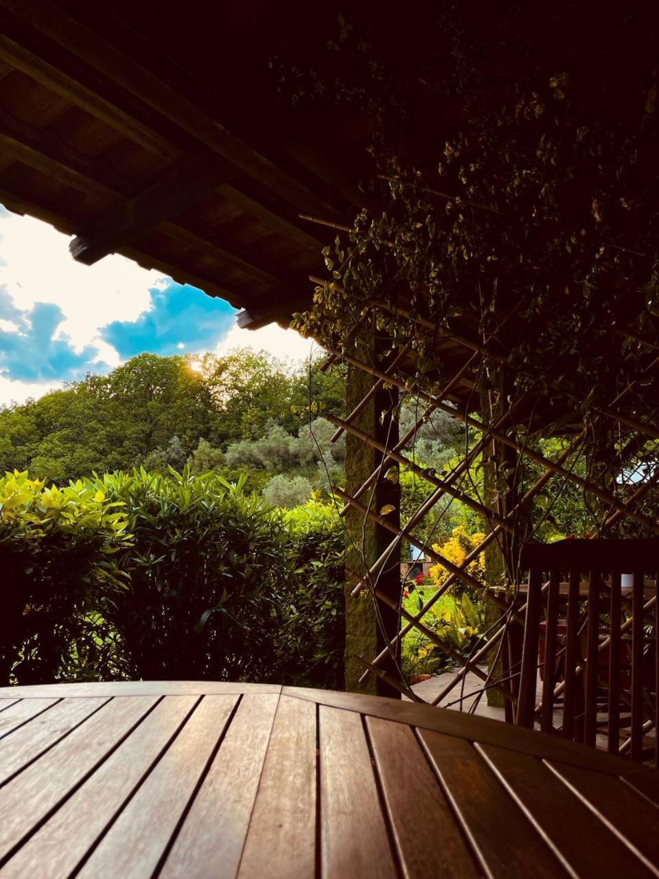 Casa Verde Country House Montescudaio Dış mekan fotoğraf