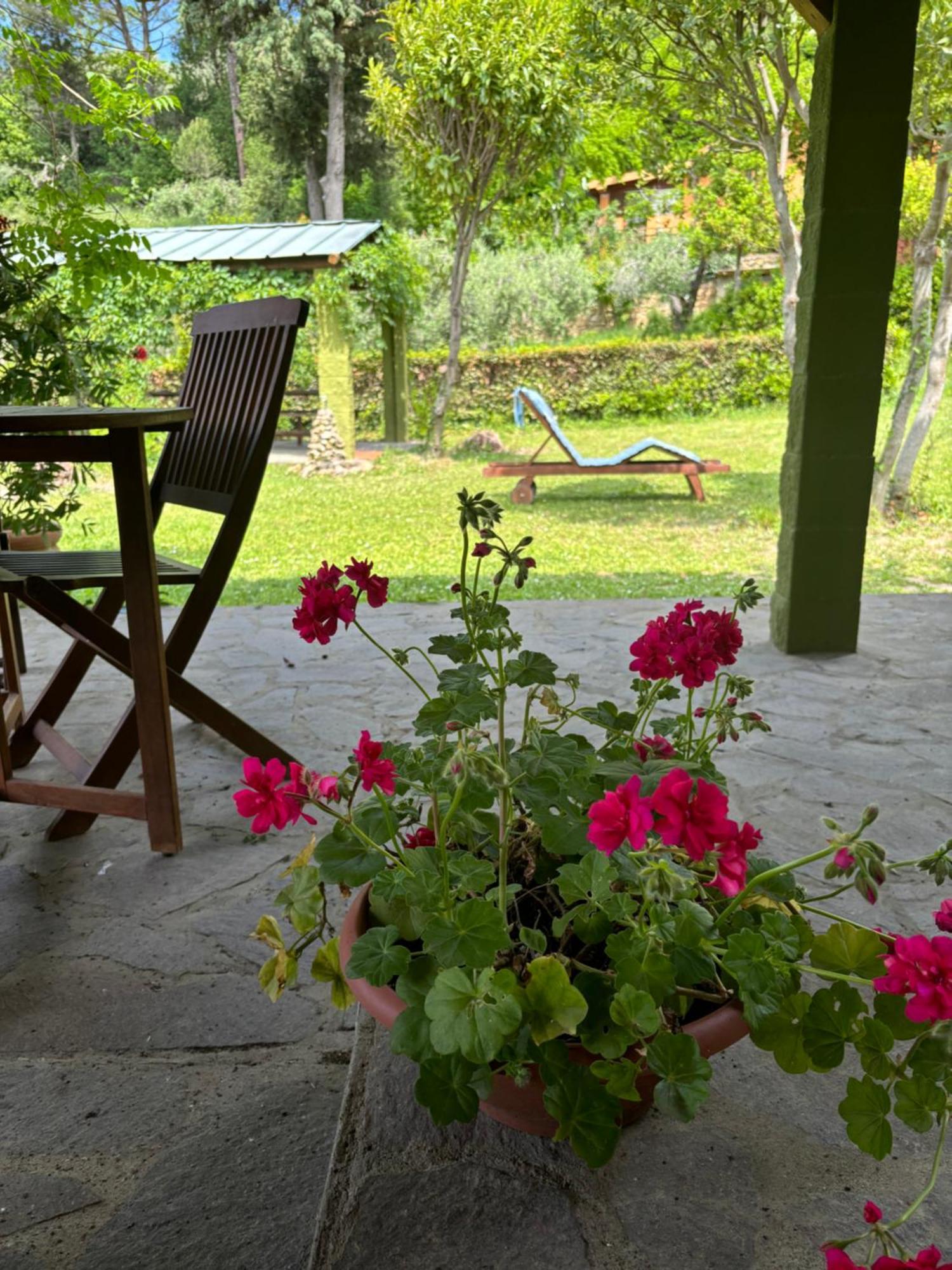 Casa Verde Country House Montescudaio Dış mekan fotoğraf