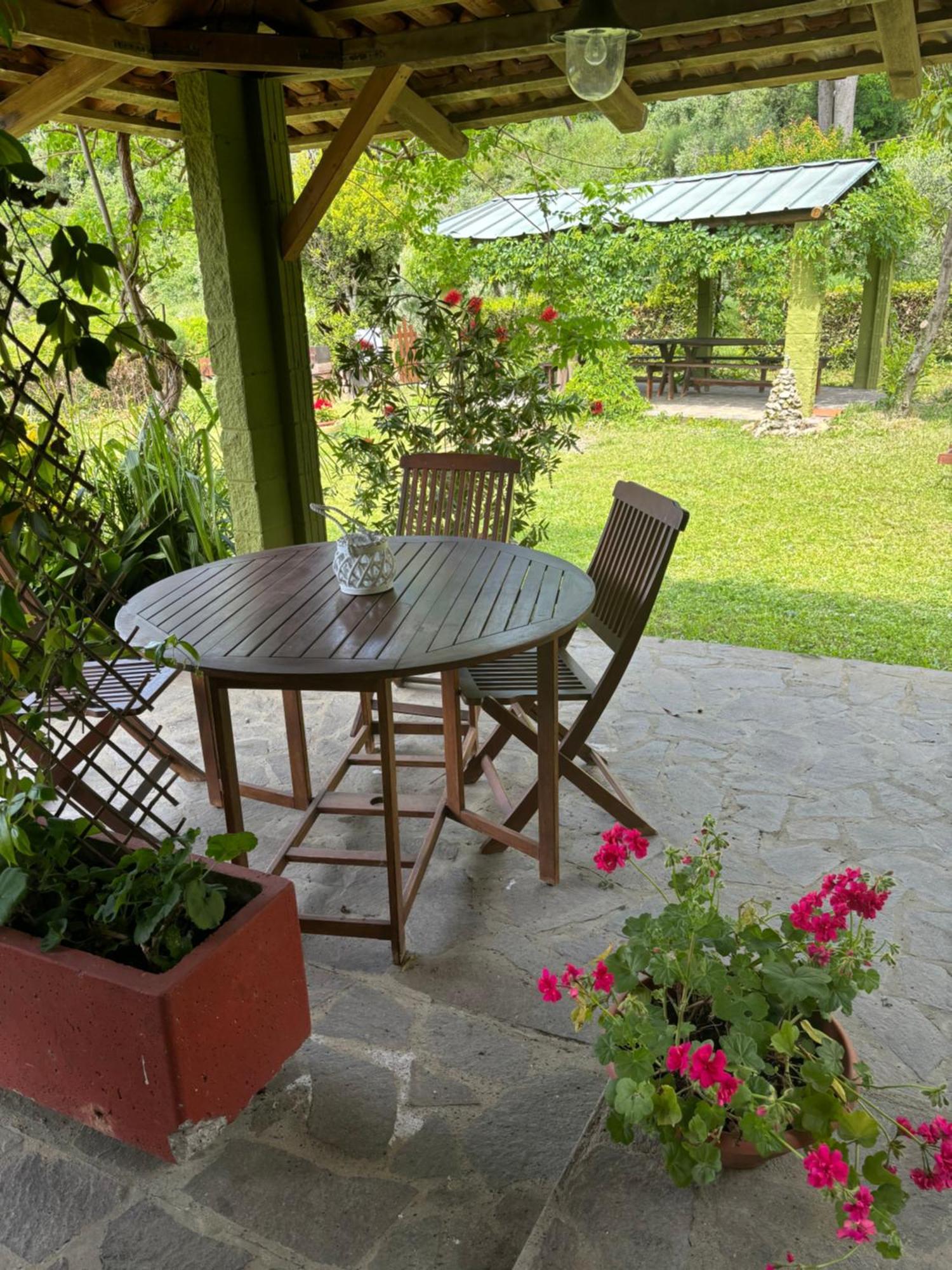 Casa Verde Country House Montescudaio Dış mekan fotoğraf